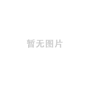兼职副主席：林绿高