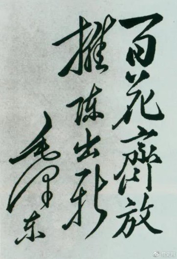 0826-144.jpg